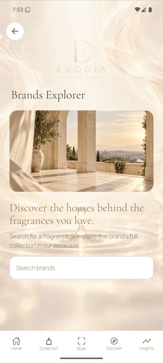 Explorador de marcas con imágenes de casas de perfumería y búsqueda de marcas